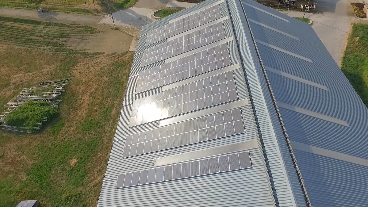 Сетевая солнечная электростанция мощностью 50 кВт*час